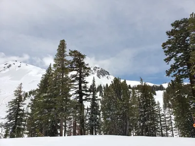 20190517_121358 (Large).jpg